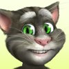 会说话的汤姆猫 2 (Talking Tom Cat 2)